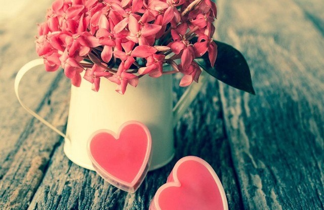 Pour un gros calin à la Saint-Valentin