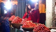 Le Vietnam, une destination à croquer