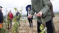 Oenotourisme : Le vignoble bourguignon s’attaque … à la grêle