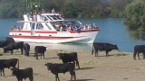 La Camargue au fil de l’eau, un bon plan sans galérer