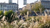 Bordeaux, une activité touristique estivale satisfaisante grâce à la clientèle européenne