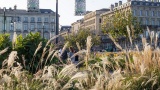 Bordeaux, une activité touristique estivale satisfaisante grâce à la clientèle européenne