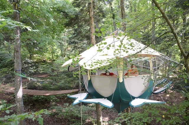 Dormir dans les Vosges, dans un nénuphar volant