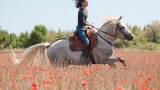 Au Galop en Camargue !