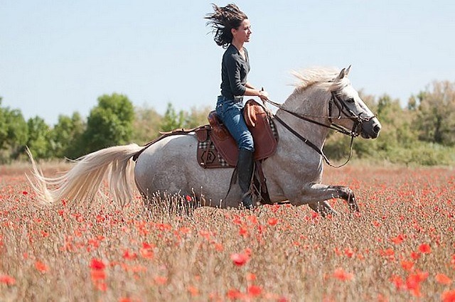 Au Galop en Camargue !