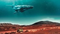 A historic year for tourism in Reunion Island