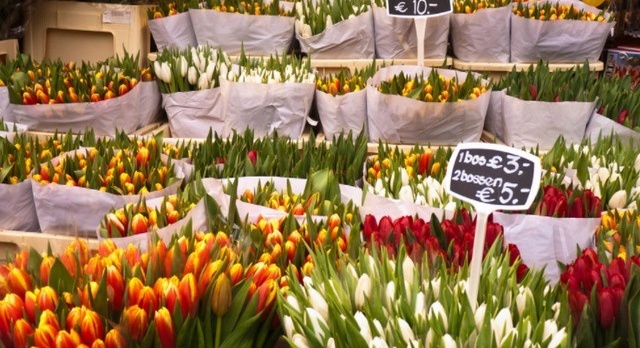 The most beautiful flower markets in the world