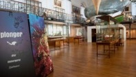 Le Musée Océanographique de Monaco prépare son renouveau