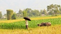 Le Laos suit son bonhomme de chemin