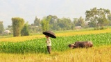 Le Laos suit son bonhomme de chemin