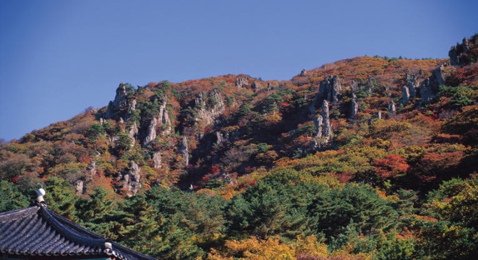 Tourism : Seoul-Jeju, the busiest air link in the world