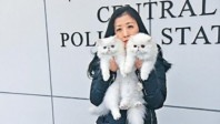 Amoureuse de chatons persans, elle passe la douane en faisant croire qu’elle est enceinte