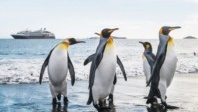 Ponant et National Geographic partent en voyage en Antarctique