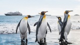 Ponant et National Geographic partent en voyage en Antarctique