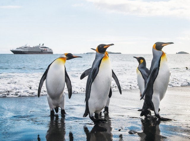 Ponant et National Geographic partent en voyage en Antarctique