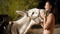 Randonner avec un âne : des vacances sans prise de tête