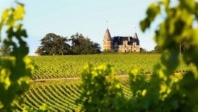 Grand vin : le Château Rayne Vigneau, un Sauternes entre tradition et modernité