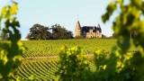 Grand vin : le Château Rayne Vigneau, un Sauternes entre tradition et modernité