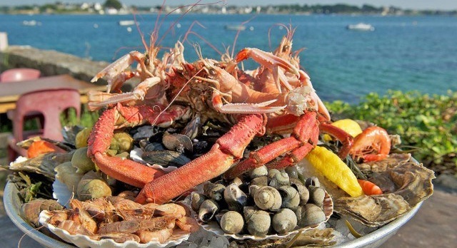 Bretagne : Où déguster des bons fruits de mer chez les producteurs ?
