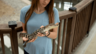 Opening of the new Gator Chateau & Visitors Center in Jennings, Louisiana