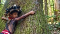 Fires in the Amazon forest, what consequences for tourism ?