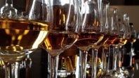 Du Cognac aux racines de la Charente