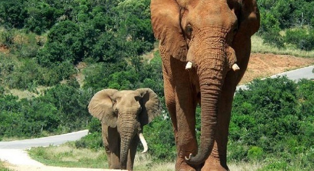 Sierra Leone : Le Visa tourisme peut dorénavant s’obtenir à l’arrivée