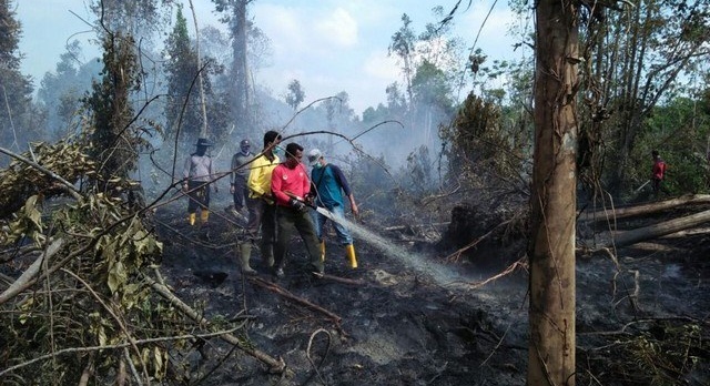 How fires in Indonesia pollute as far away as Thailand