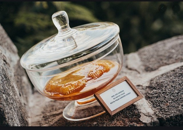 Beachcomber Hotels fait le buzz avec son projet d’apiculture
