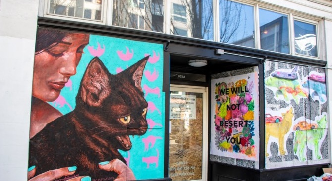 Street art solidarity : When confinement rhymes with creativity