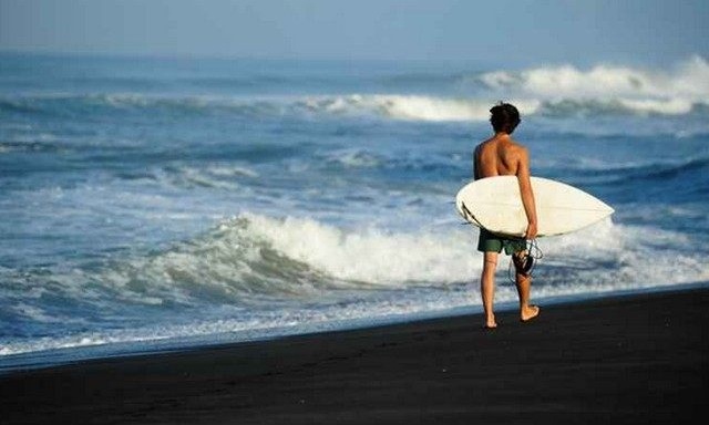 Le Surf : culture, art, science et mode de vie
