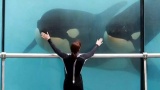 Le Marineland désormais dos au mur