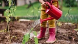 Quand jardin et jardinet font deux voyages