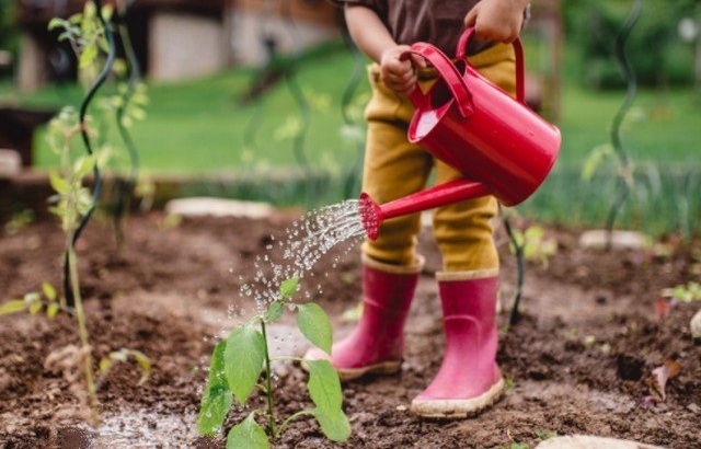 Quand jardin et jardinet font deux voyages