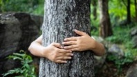 Encore plus près des arbres en Touraine