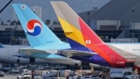 Korean Air et Asiana presque en totale fusion