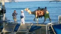 Tourisme en Egypte : du nouveau pour les touristes à Hurghada