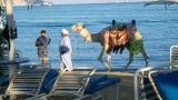 Tourisme en Egypte : du nouveau pour les touristes à Hurghada