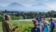 Tourisme au Rwanda : le pays veut lui aussi sa part du lion
