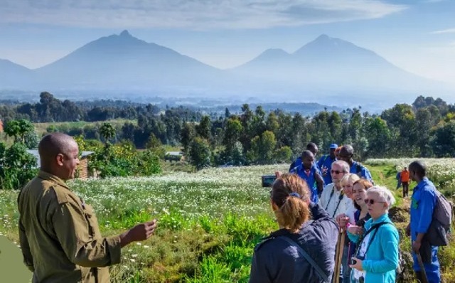Tourisme au Rwanda : le pays veut lui aussi sa part du lion
