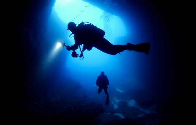 SunLife récompense la photo en eaux profondes