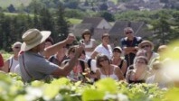 Les trois visites guidées à faire en Bourgogne : la sélection de Guides France