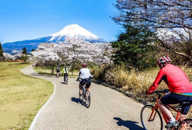 Le Japon à vélo : Cinq itinéraires doux pour explorer l’archipel
