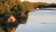 Le Domaine de la Dombes, un habitat vraiment insolite au cœur de la nature