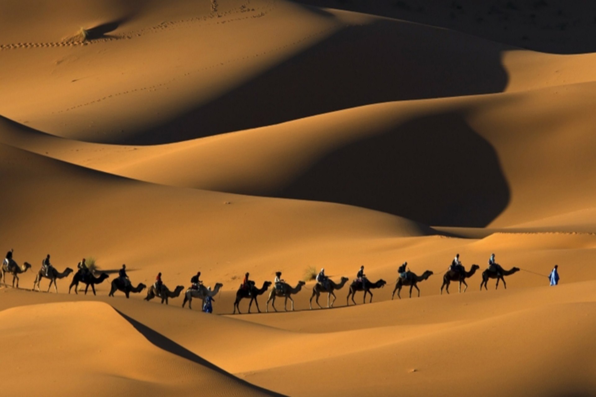 voyage au sahara occidental
