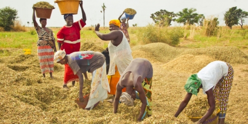 Guinée Bissau