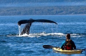 Voyage au Québec, l’appel à lâcher prise