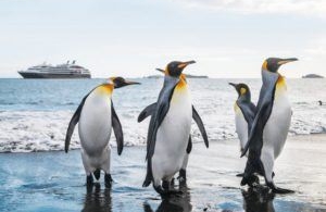 Ponant et National Geographic partent en voyage en Antarctique