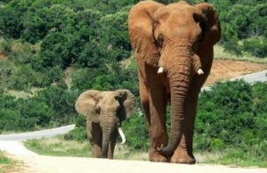Sierra Leone: Tourist Visa can now be obtained on arrival
