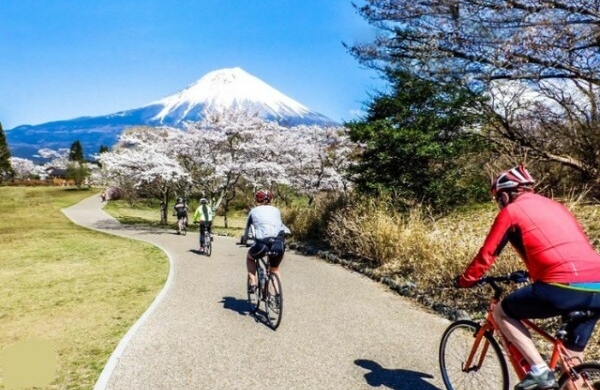 Le Japon à vélo : Cinq itinéraires doux pour explorer l’archipel